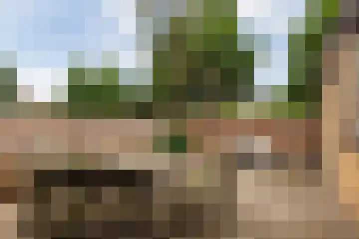Jurriaandonk 35 Roosendaal thumbnail 23