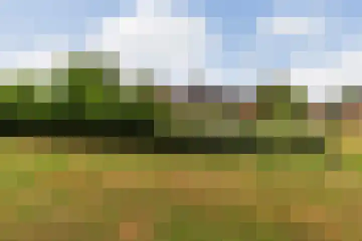 Jurriaandonk 35 Roosendaal thumbnail 24