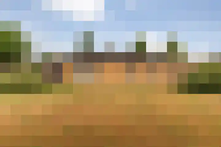 Jurriaandonk 35 Roosendaal thumbnail 25