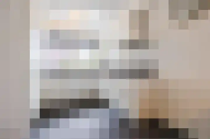 Jurriaen Andriessenstraat 11 Rijen thumbnail 13