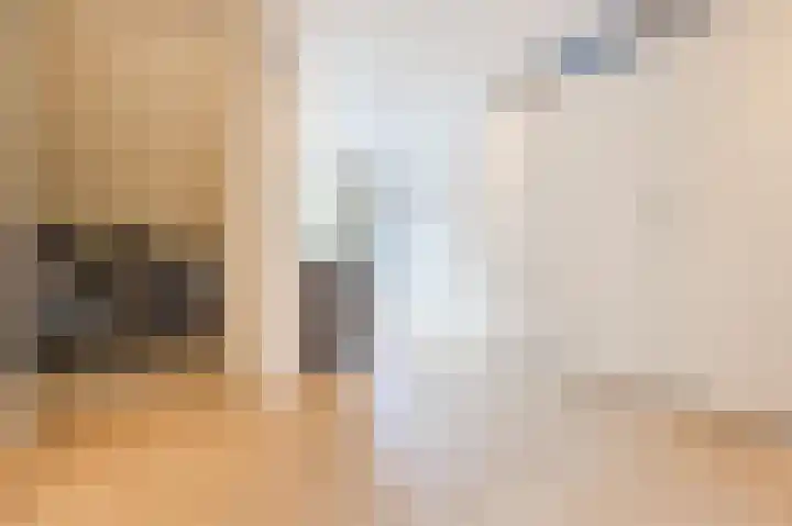 Jurriaen Andriessenstraat 11 Rijen thumbnail 32