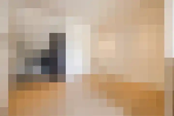 Jurriaen Andriessenstraat 11 Rijen thumbnail 37