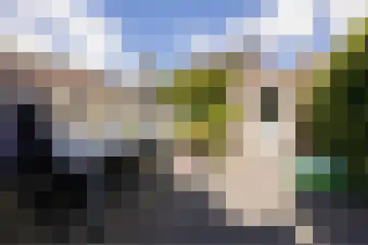 Jurriaen Andriessenstraat 11 Rijen thumbnail 38