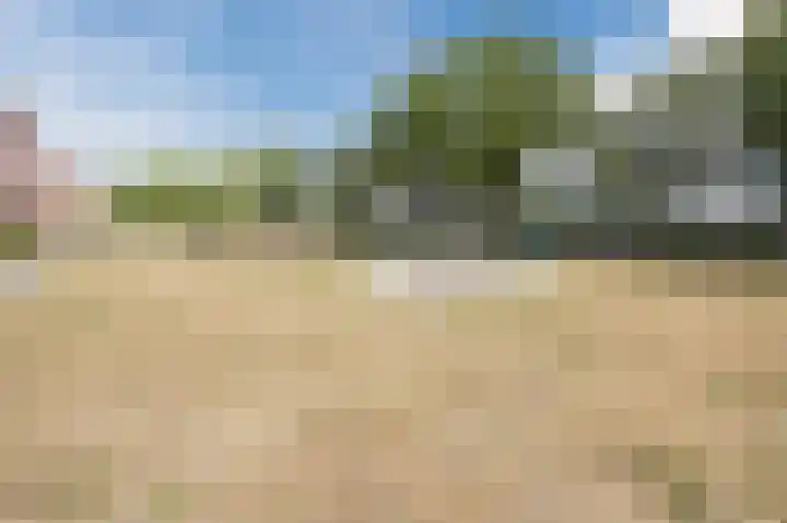 Jurriaen Andriessenstraat 11 Rijen thumbnail 43