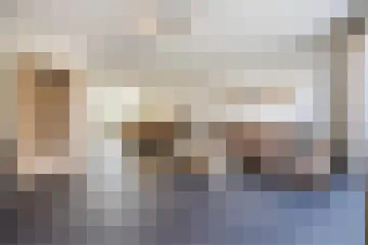 Jurriaen Andriessenstraat 11 Rijen thumbnail 7