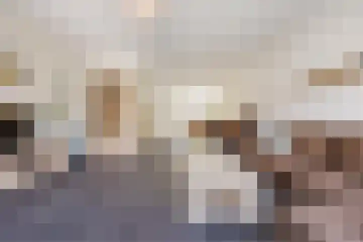 Jurriaen Andriessenstraat 11 Rijen thumbnail 8