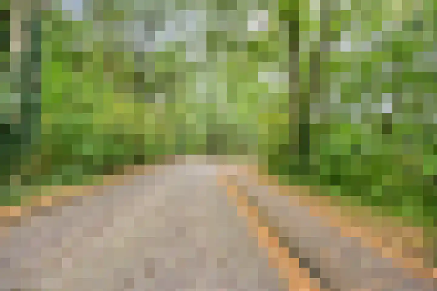 Jurriaen Andriessenstraat 9 Rijen thumbnail 40