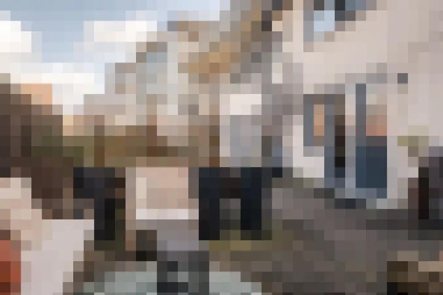 Justine de Gouwerhof 50 Haarlem thumbnail 17