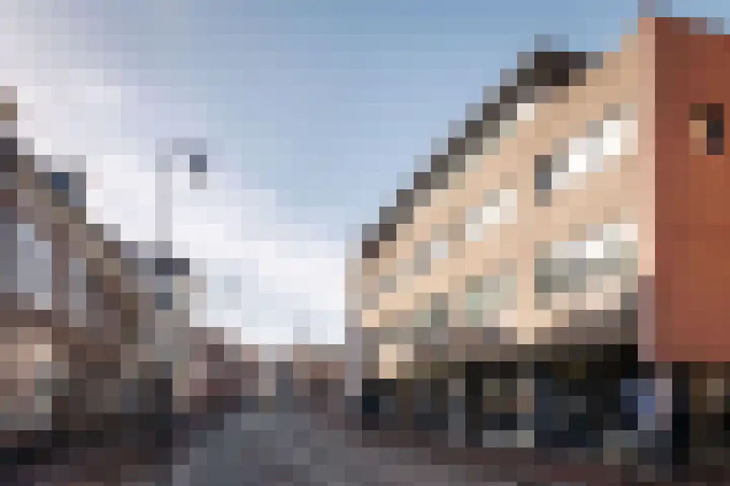 Justine de Gouwerhof 50 Haarlem thumbnail 31