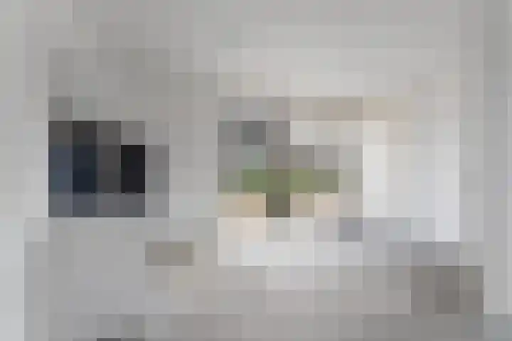 Justitiahof 10 Almere thumbnail 13