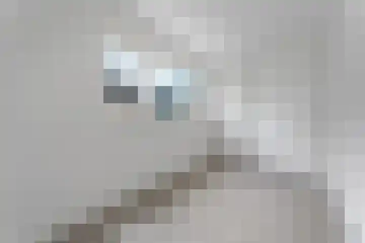 Justitiahof 10 Almere thumbnail 26