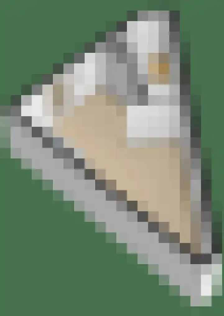Justitiahof 10 Almere thumbnail 30
