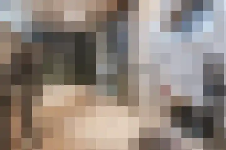 Justitie Bastion 19 Hasselt thumbnail 13