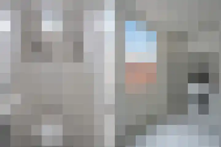 Justitie Bastion 19 Hasselt thumbnail 24