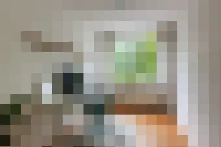 Justitie Bastion 19 Hasselt thumbnail 4