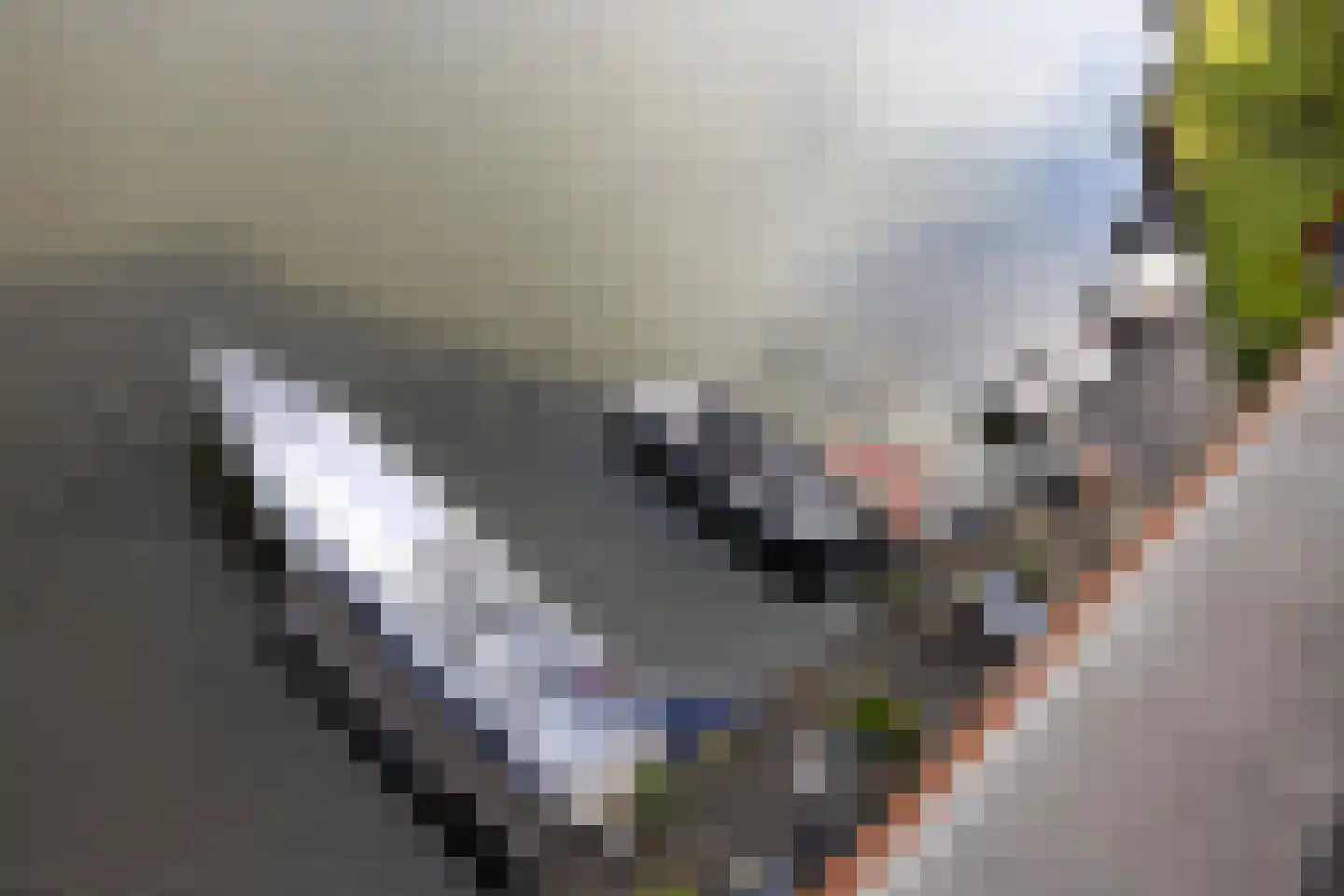 Justpier 112 Zaandam thumbnail 41