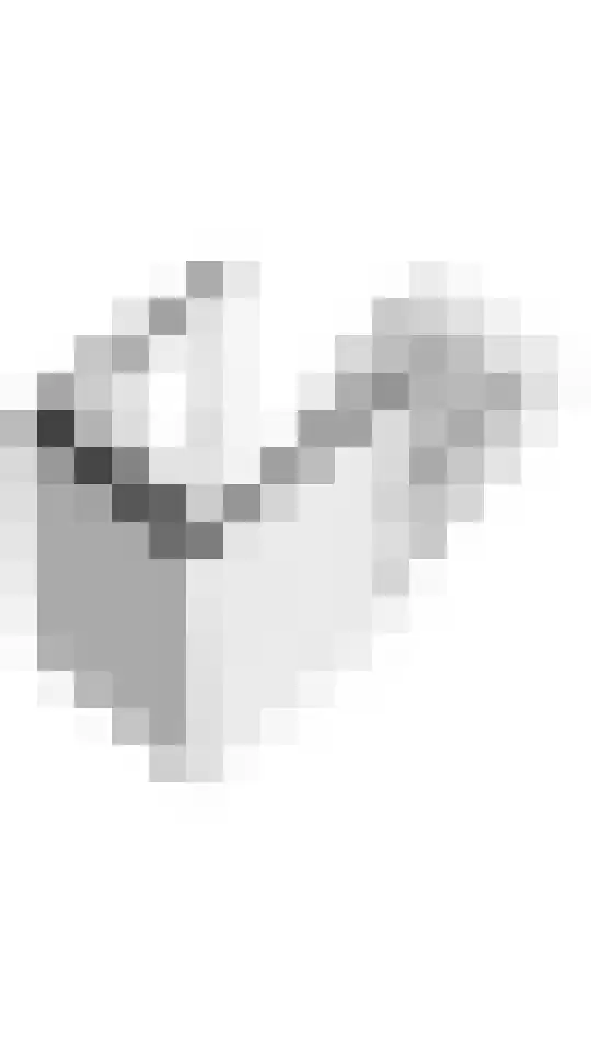 Justpier 112 Zaandam thumbnail 62