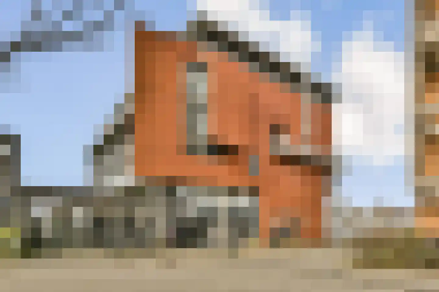 Justpier 94 Zaandam thumbnail 18
