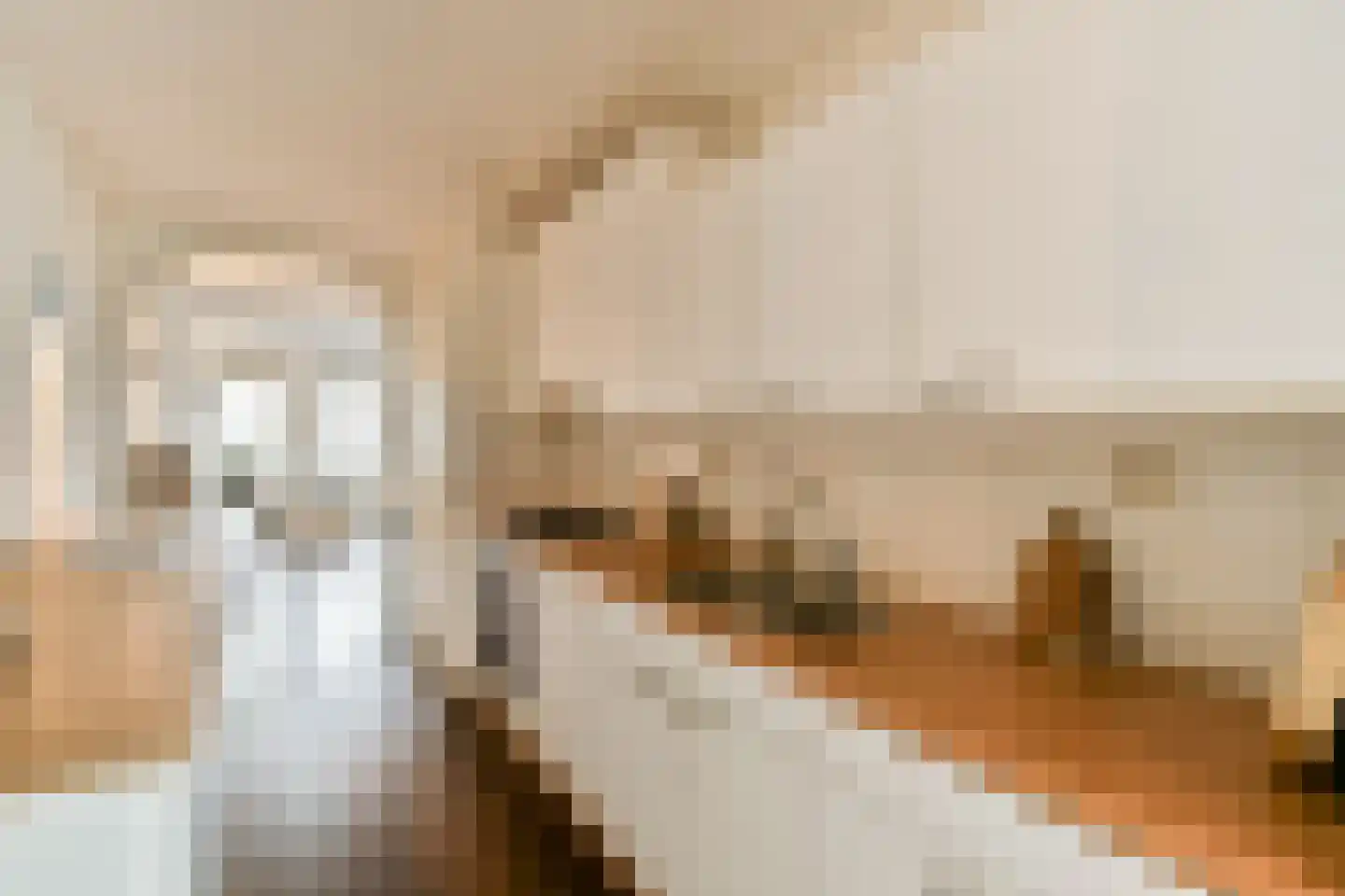 Justpier 94 Zaandam thumbnail 6