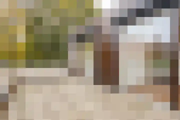 Justus de Harduwijnlaan 2 Sittard thumbnail 23