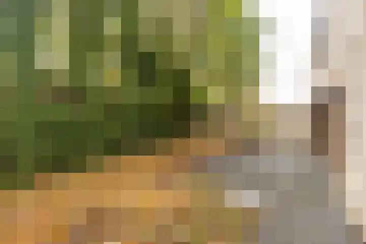 Justus de Harduwijnlaan 2 Sittard thumbnail 30
