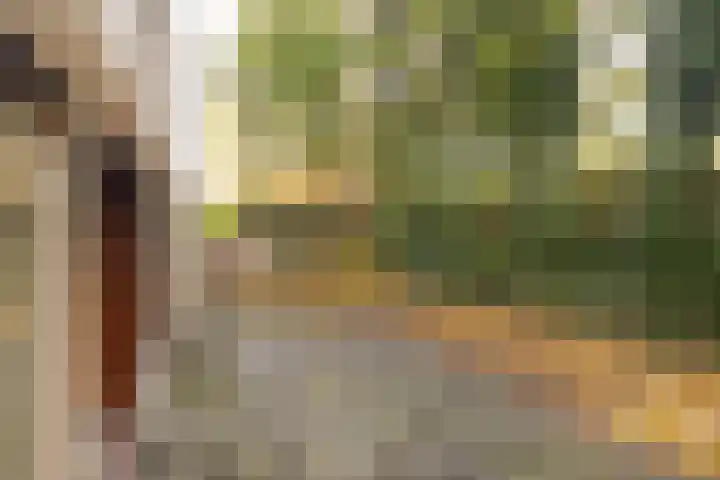 Justus de Harduwijnlaan 2 Sittard thumbnail 32