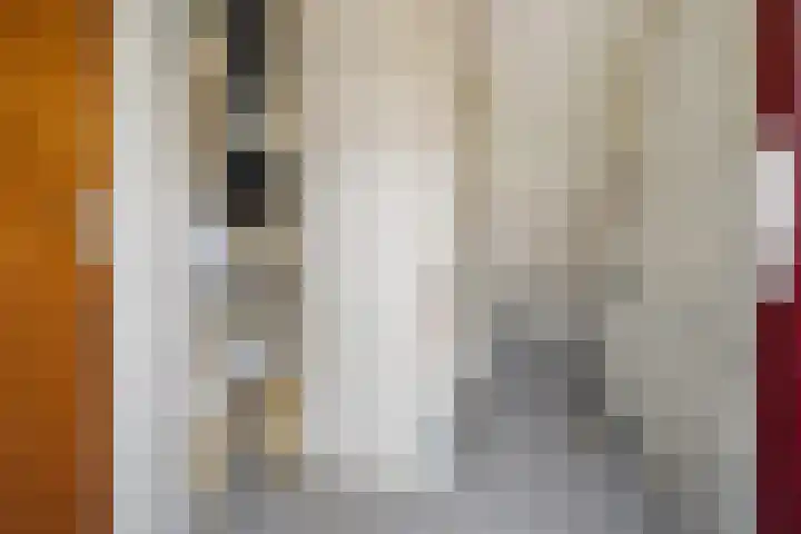 Justus Lipsiusstraat 20 Amsterdam thumbnail 13