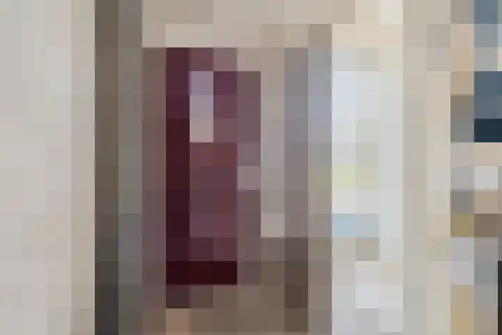 Justus Lipsiusstraat 20 Amsterdam thumbnail 14
