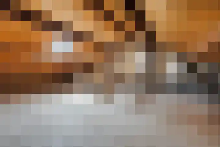 Justus Lipsiusstraat 20 Amsterdam thumbnail 25