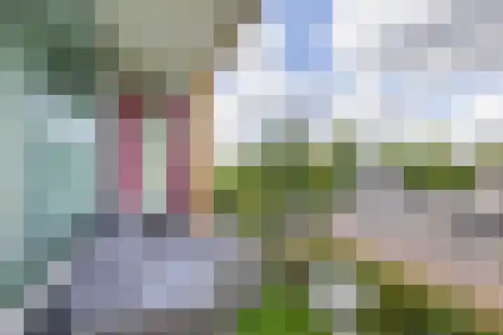 Justus van Effenlaan 10 Waddinxveen thumbnail 19