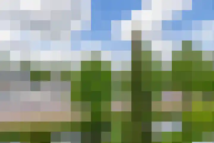 Justus van Effenlaan 10 Waddinxveen thumbnail 20