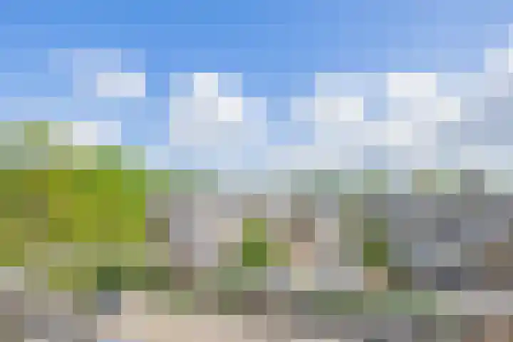 Justus van Effenlaan 10 Waddinxveen thumbnail 21