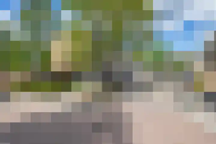 Justus van Effenlaan 10 Waddinxveen thumbnail 22