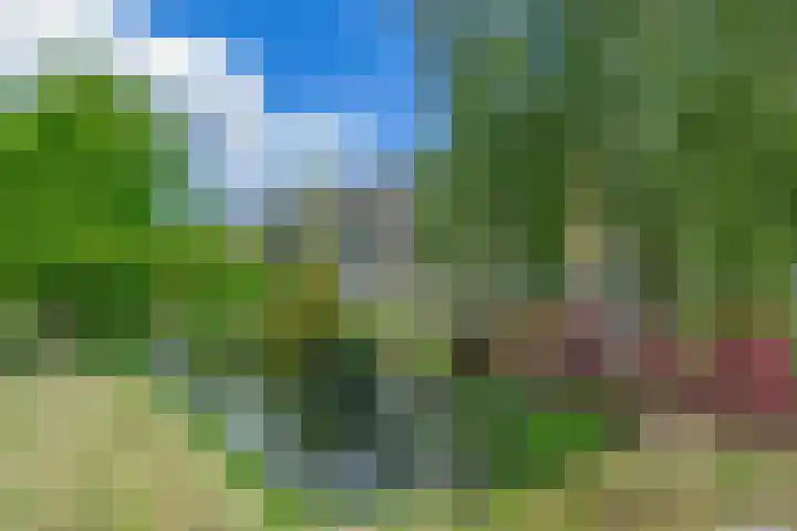 Justus van Effenlaan 10 Waddinxveen thumbnail 28