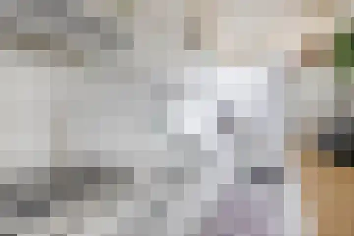 Justus van Effenlaan 10 Waddinxveen thumbnail 6