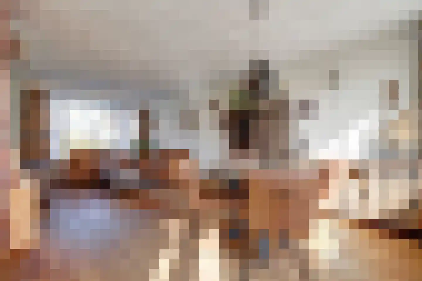 Justus van Effenlaan 15 Waddinxveen thumbnail 12