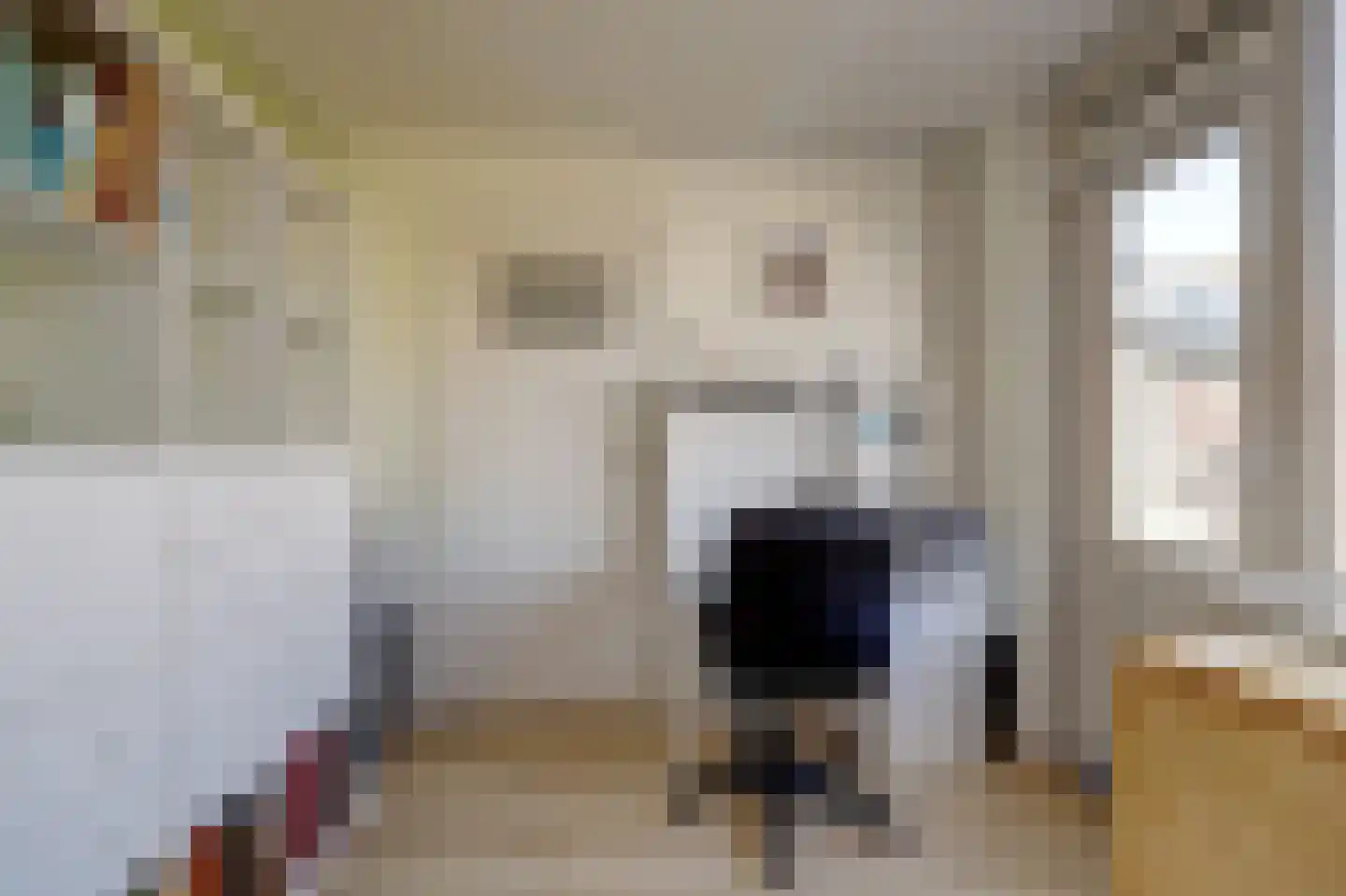 Justus van Effenlaan 15 Waddinxveen thumbnail 19