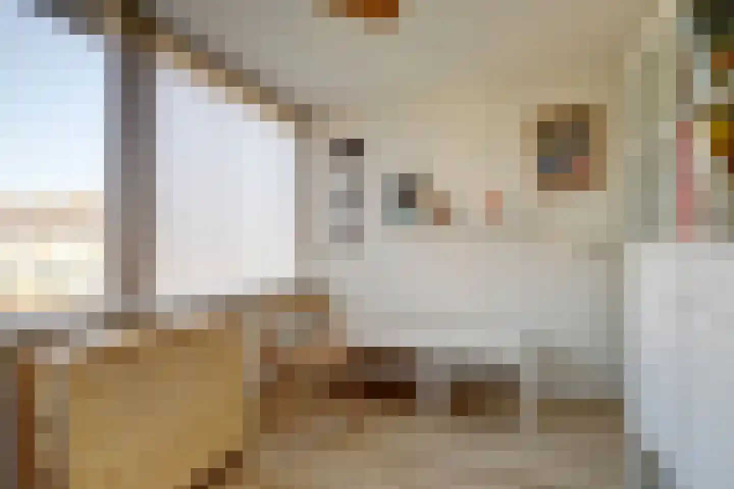 Justus van Effenlaan 15 Waddinxveen thumbnail 20