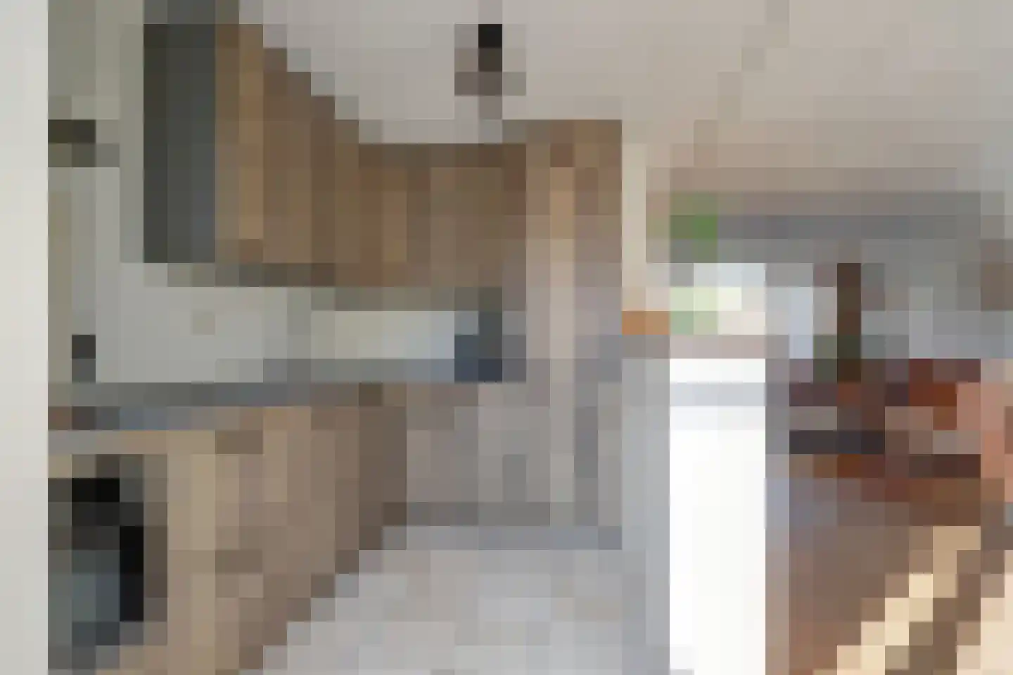 Justus van Effenlaan 15 Waddinxveen thumbnail 5