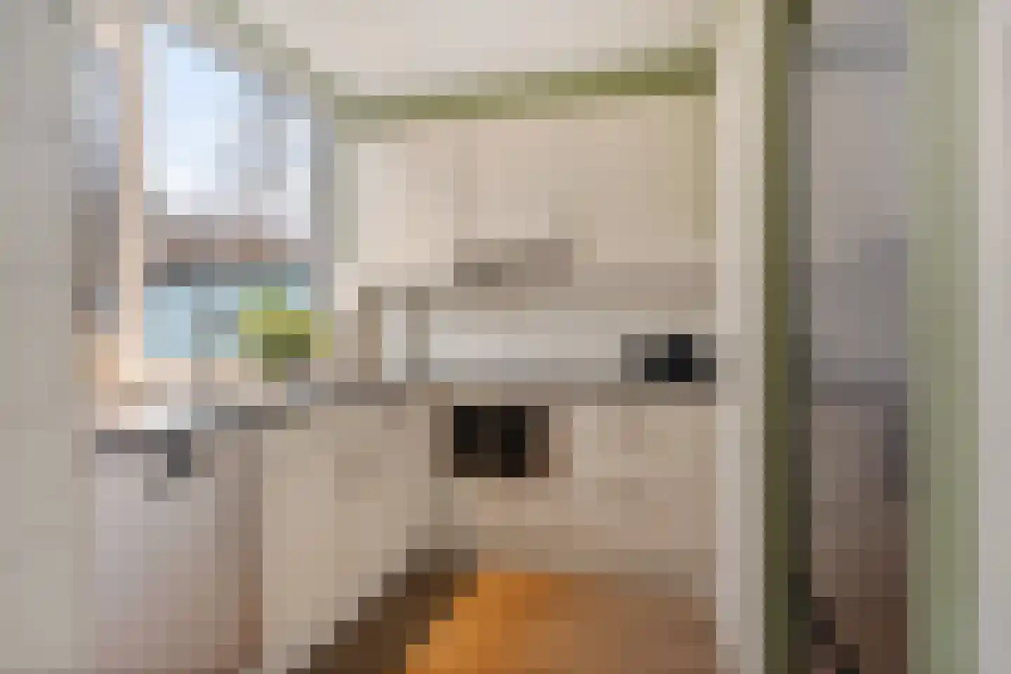 Justus van Effenlaan 34 Waddinxveen thumbnail 13