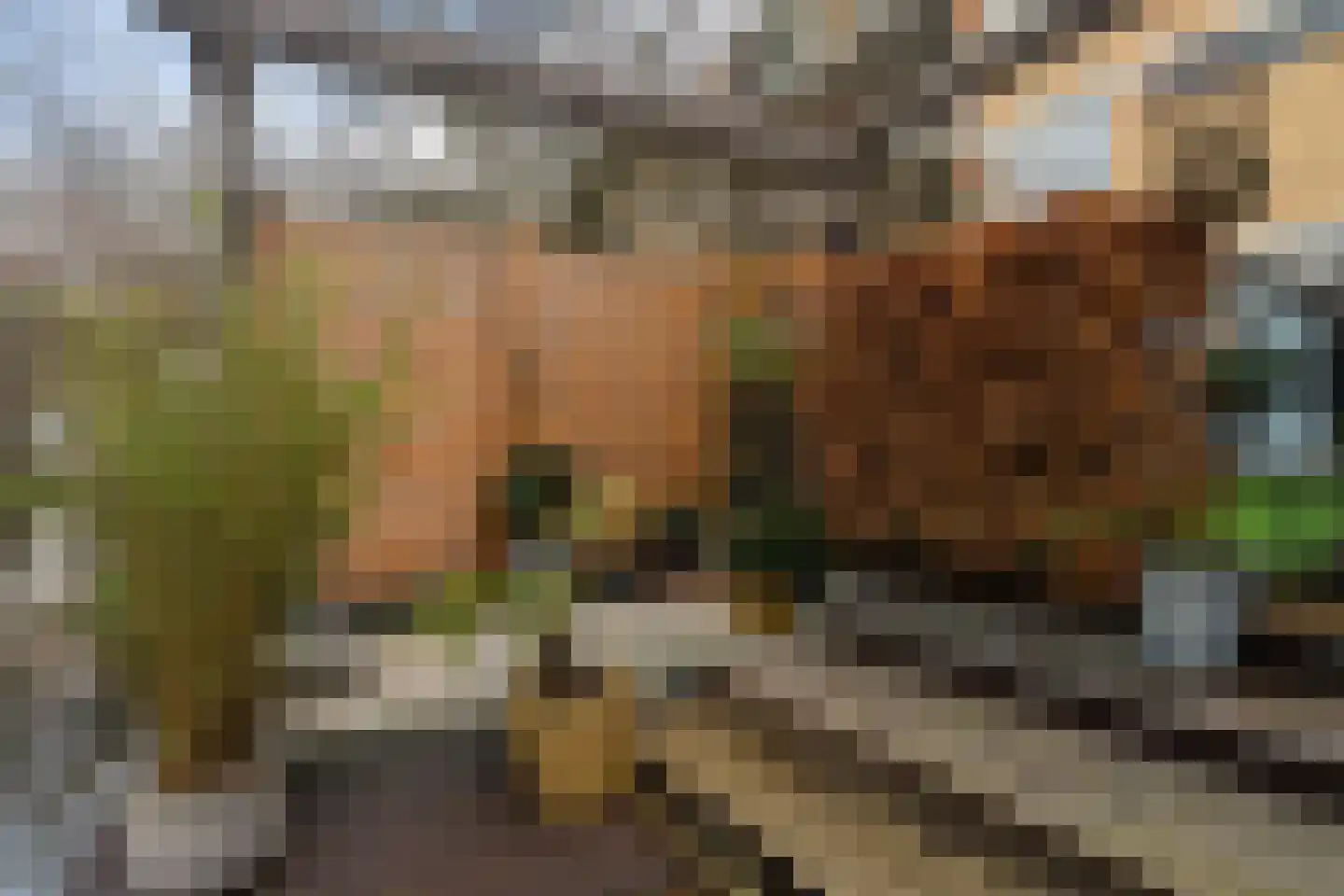 Justus van Effenlaan 34 Waddinxveen thumbnail 23