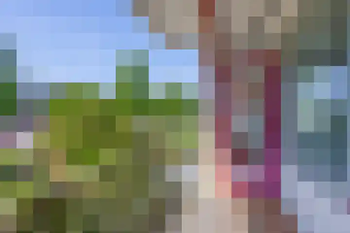 Justus van Effenlaan 36 Waddinxveen thumbnail 12