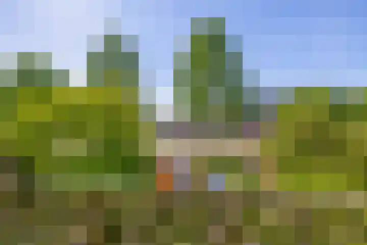 Justus van Effenlaan 36 Waddinxveen thumbnail 13