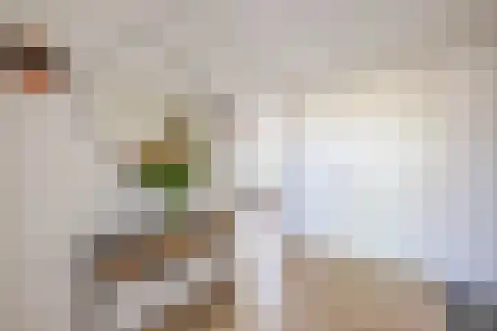 Justus van Effenlaan 36 Waddinxveen thumbnail 20