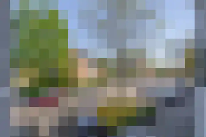 Justus van Effenlaan 36 Waddinxveen thumbnail 24