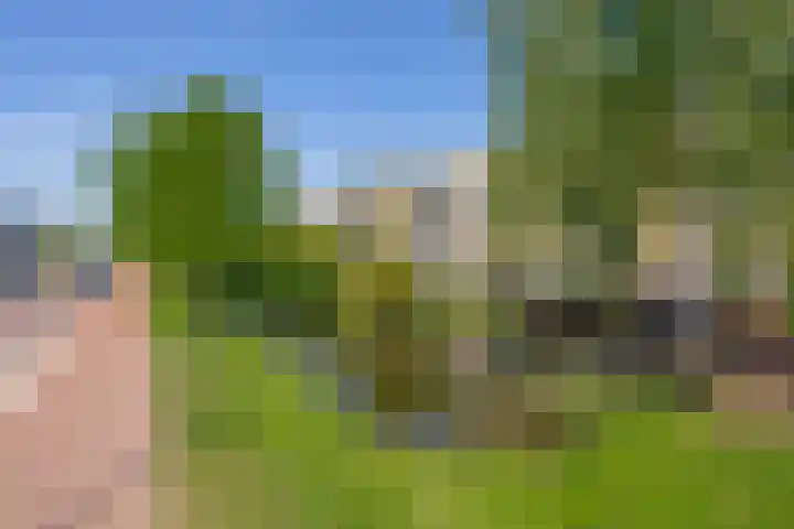 Justus van Effenlaan 36 Waddinxveen thumbnail 25