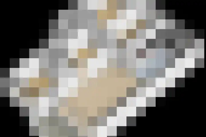 Justus van Effenlaan 36 Waddinxveen thumbnail 31