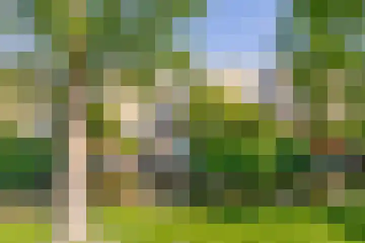 Justus van Effenlaan 36 Waddinxveen thumbnail 33