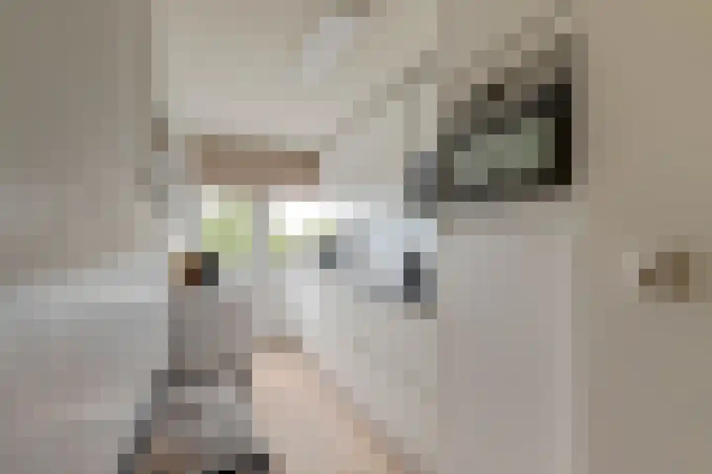 Justus van Effenlaan 40 Waddinxveen thumbnail 17