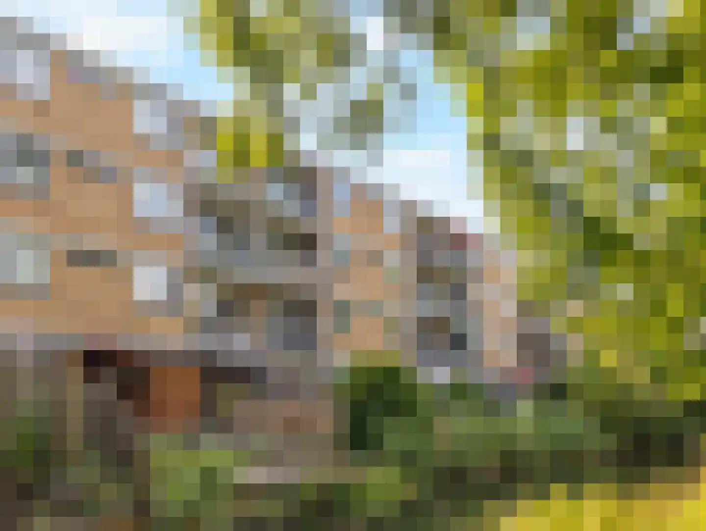 Justus van Effenlaan 56 Waddinxveen thumbnail 34